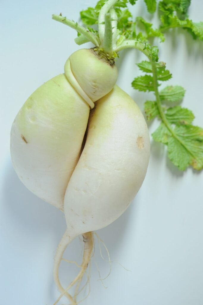 Meerrettich als natürliches Potenzmittel 